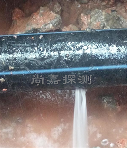 莱阳消防管道漏点探测
